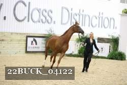 22BUCK_04122 proof