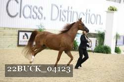 22BUCK_04123 proof