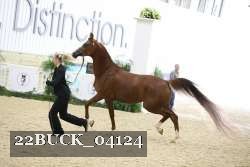 22BUCK_04124 proof