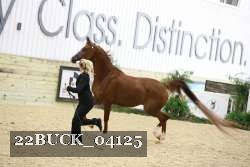 22BUCK_04125 proof