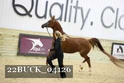 22BUCK_04126 proof