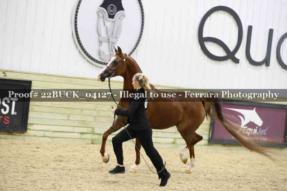 Proof 22BUCK_04127