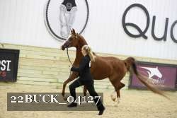 22BUCK_04127 proof