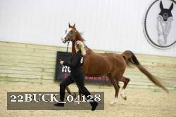 22BUCK_04128 proof