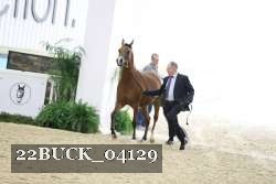 22BUCK_04129 proof
