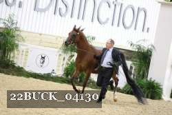 22BUCK_04130 proof