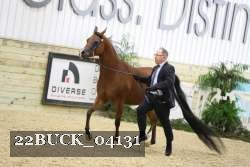 22BUCK_04131 proof