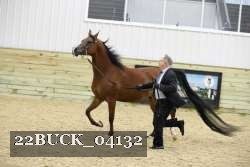 22BUCK_04132 proof