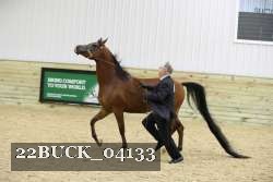 22BUCK_04133 proof