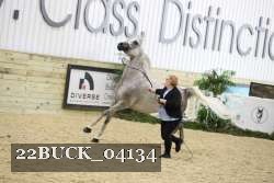 22BUCK_04134 proof