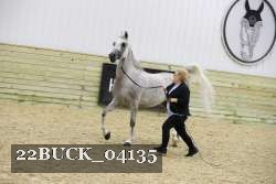 22BUCK_04135 proof