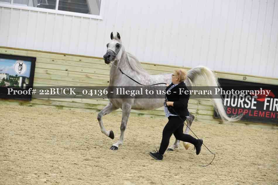 Proof 22BUCK_04136