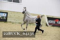 22BUCK_04136 proof