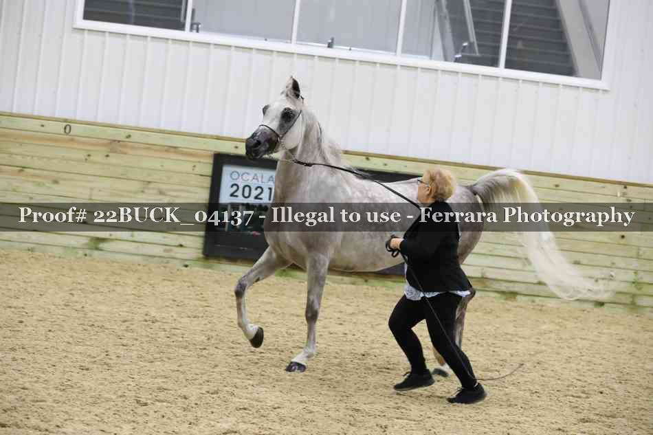 Proof 22BUCK_04137