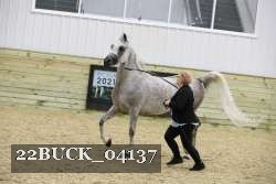 22BUCK_04137 proof