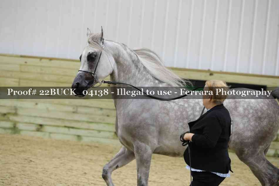 Proof 22BUCK_04138