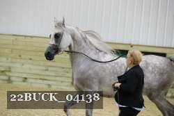 22BUCK_04138 proof