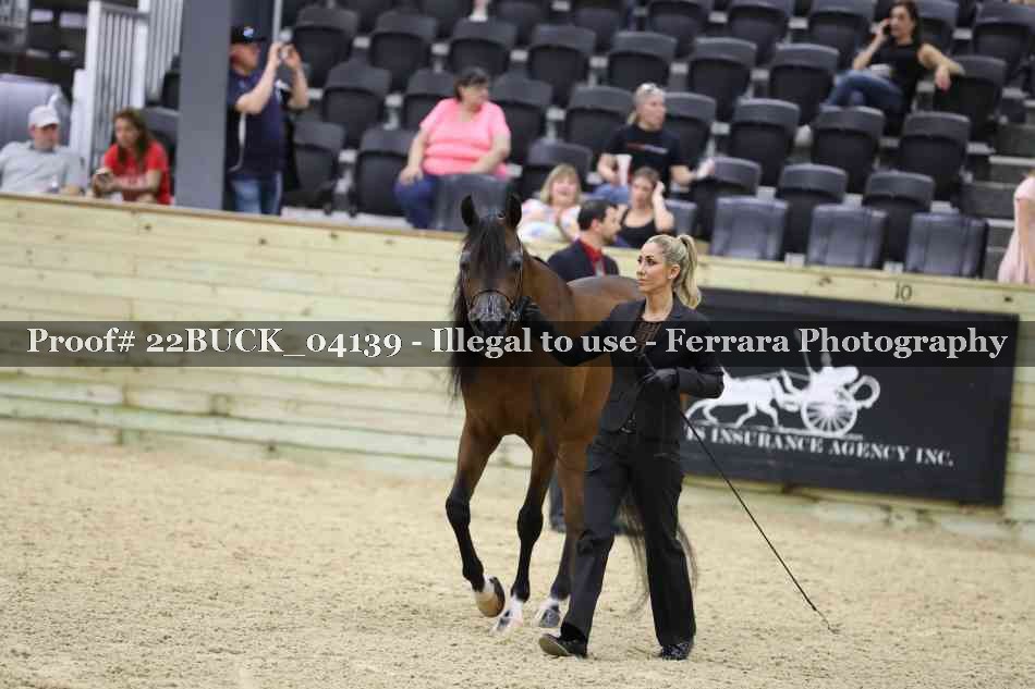 Proof 22BUCK_04139