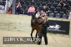 22BUCK_04139 proof