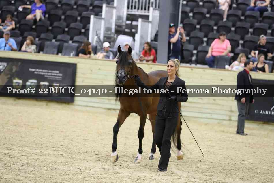 Proof 22BUCK_04140