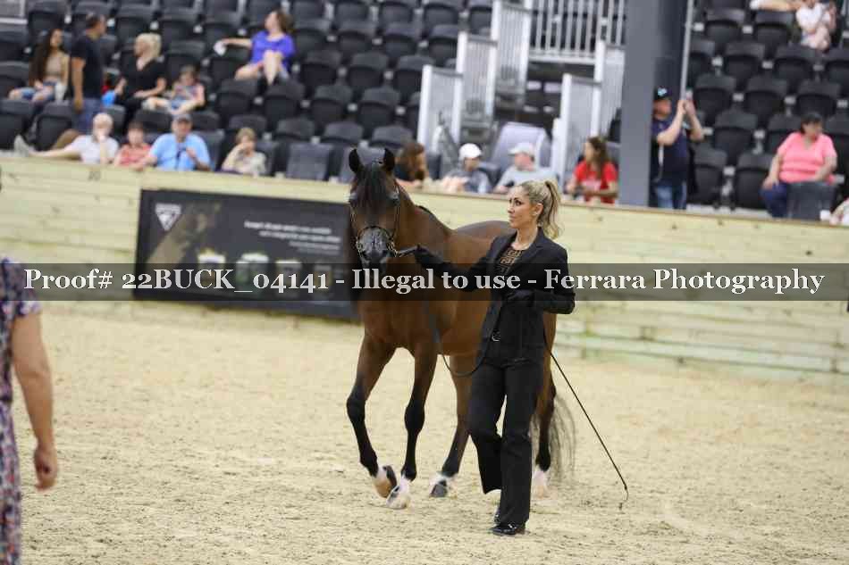 Proof 22BUCK_04141
