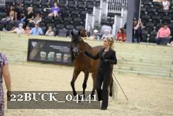 22BUCK_04141 proof