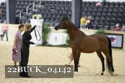 22BUCK_04142 proof