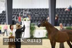 22BUCK_04143 proof