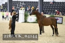 22BUCK_04144 proof