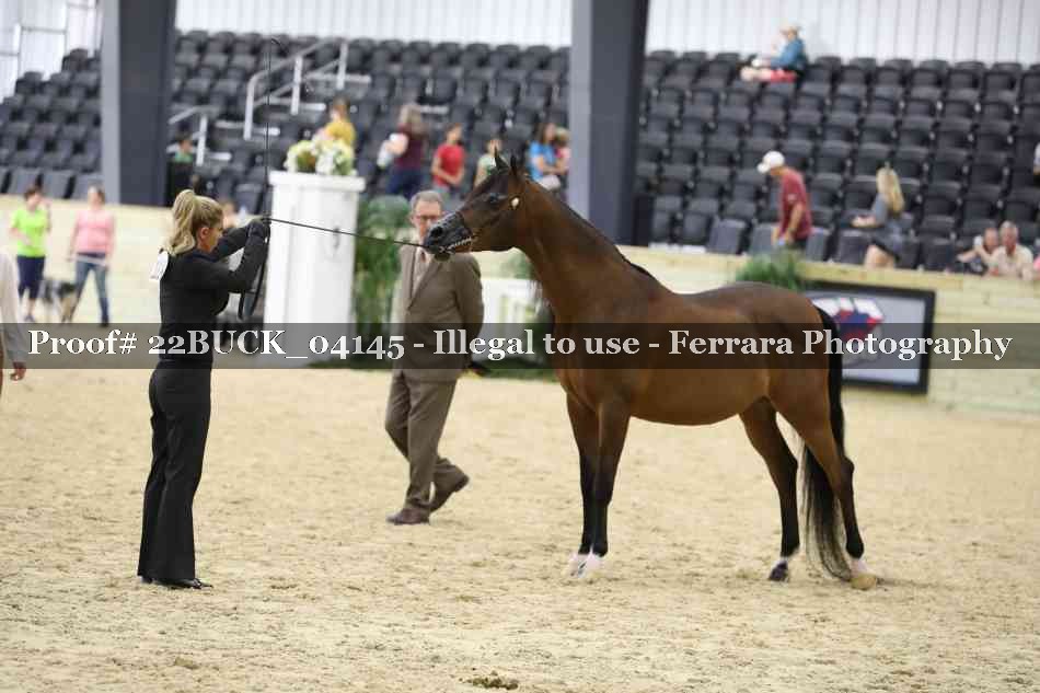Proof 22BUCK_04145