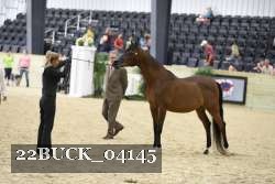 22BUCK_04145 proof