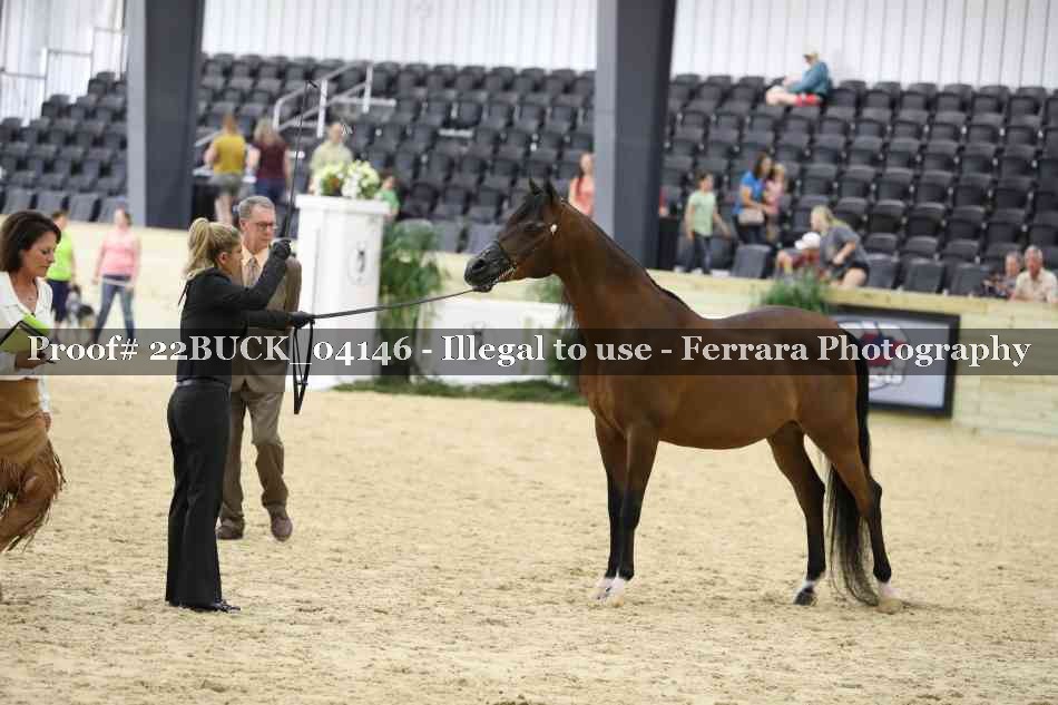 Proof 22BUCK_04146