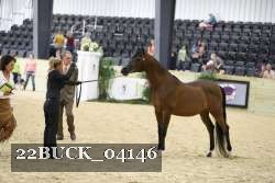 22BUCK_04146 proof