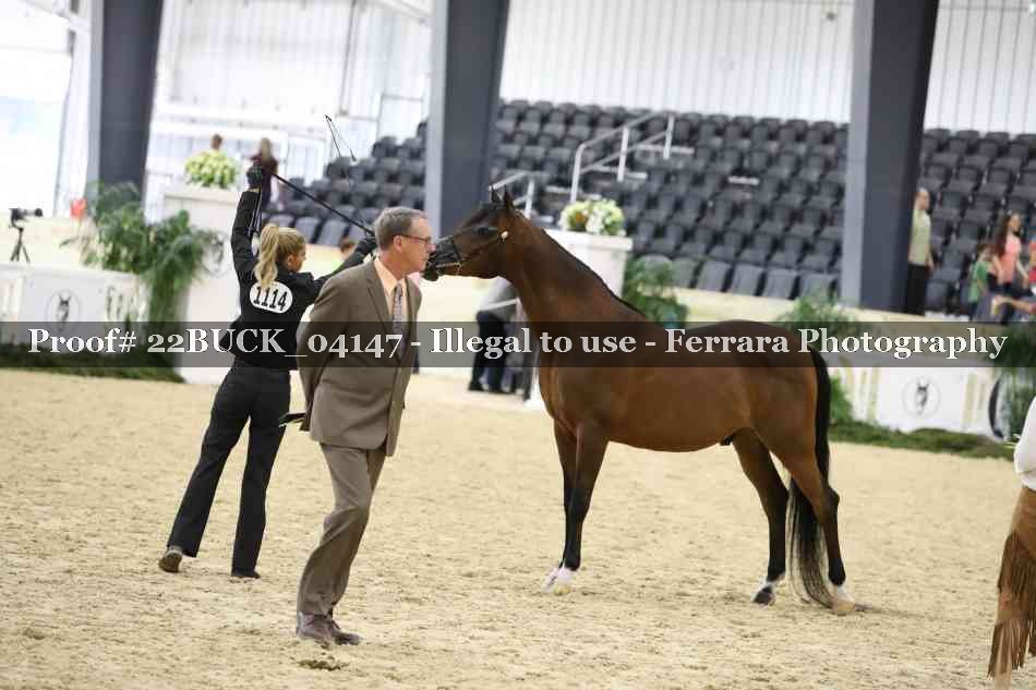 Proof 22BUCK_04147