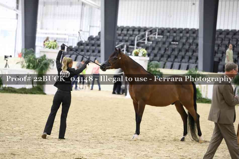 Proof 22BUCK_04148