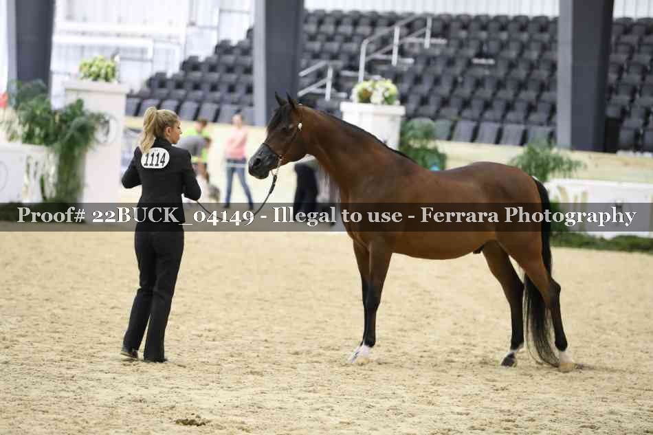 Proof 22BUCK_04149