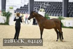 22BUCK_04149 proof