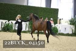 22BUCK_04150 proof
