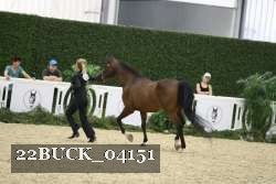 22BUCK_04151 proof