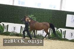 22BUCK_04152 proof