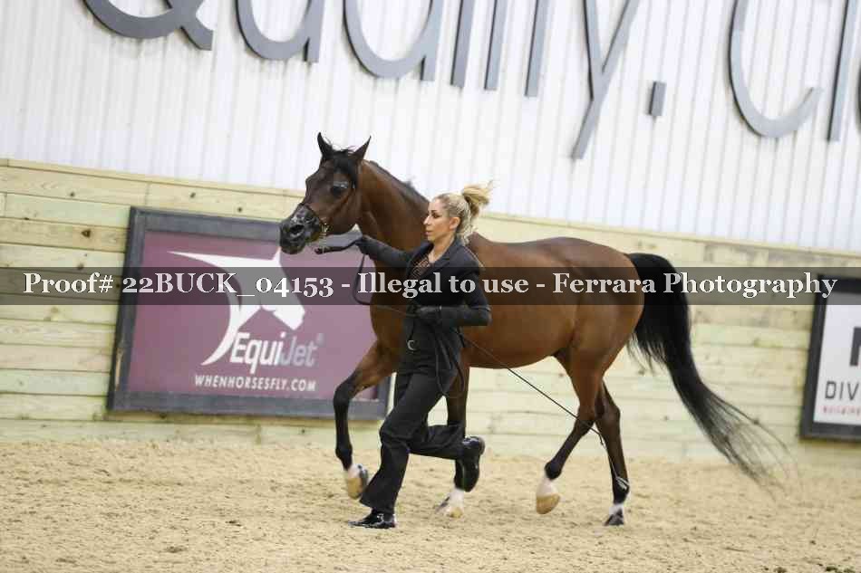 Proof 22BUCK_04153