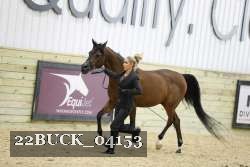 22BUCK_04153 proof