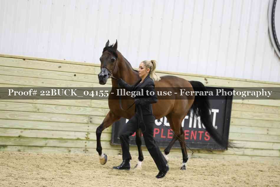 Proof 22BUCK_04155