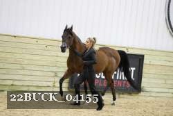 22BUCK_04155 proof