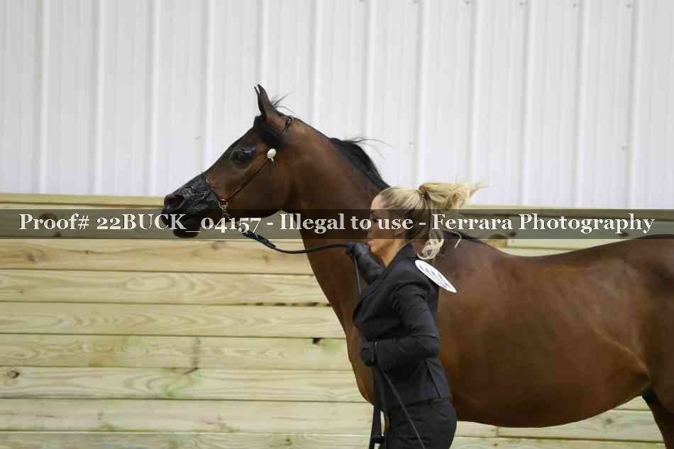 Proof 22BUCK_04157