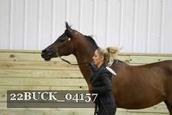 22BUCK_04157 proof