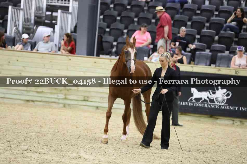 Proof 22BUCK_04158