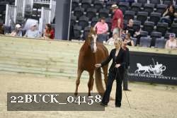 22BUCK_04158 proof
