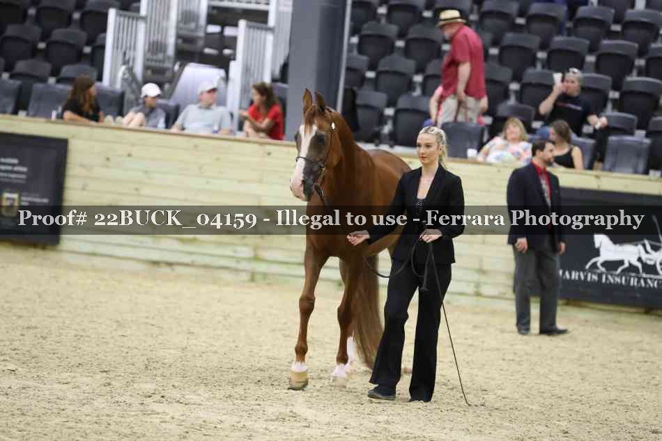 Proof 22BUCK_04159
