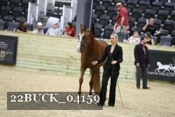 22BUCK_04159 proof